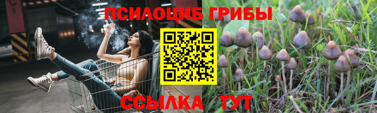 Реж  продажа наркотиков  Вход с VPN  Галлюциногенные грибы GOLDEN TEACHER  Галлюциногенные грибы мухоморы 